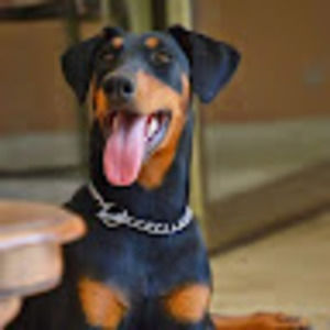 Meet your Posher, Martina